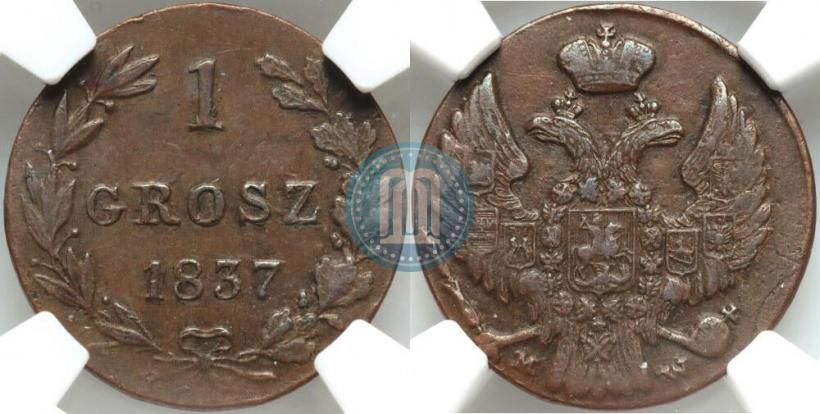 Фото 1 грош 1837 года MW 