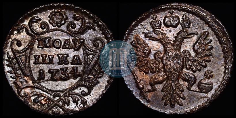 Picture Polushka 1734 year  