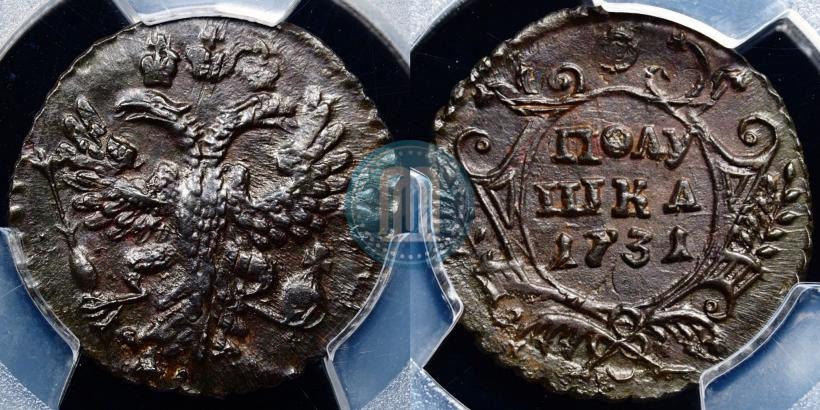 Picture Polushka 1731 year  