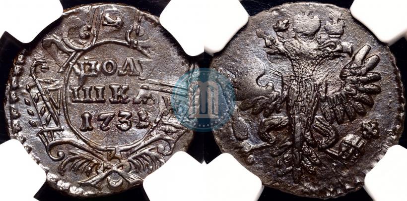 Picture Polushka 1731 year  