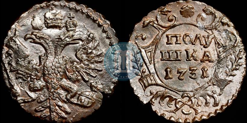 Picture Polushka 1731 year  