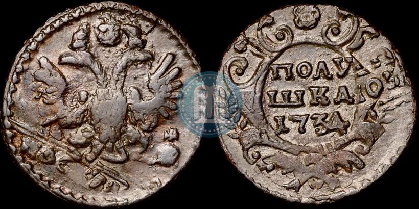 Picture Polushka 1734 year  