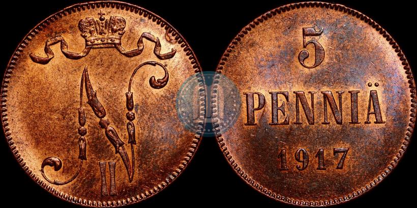 Picture 5 pennia 1917 year  