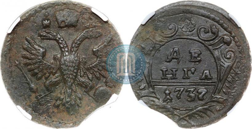 Фото Денга 1737 года  