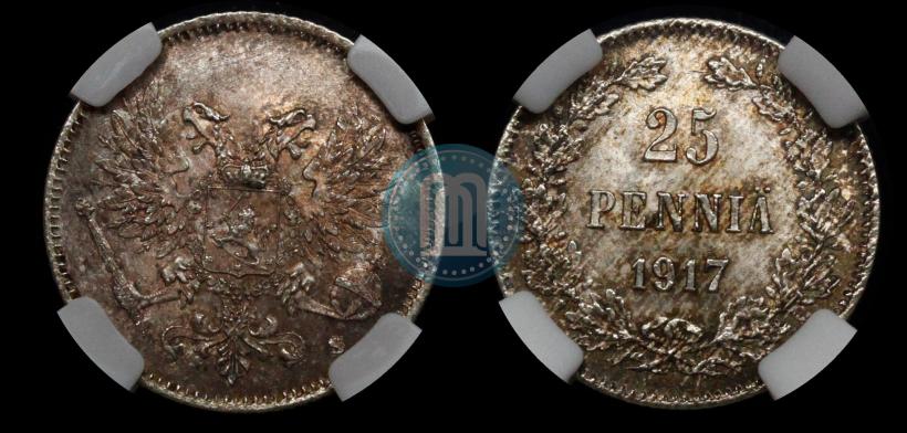 Picture 25 pennia 1917 year S 