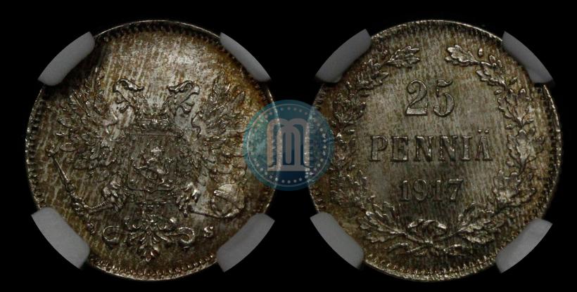 Picture 25 pennia 1917 year S 
