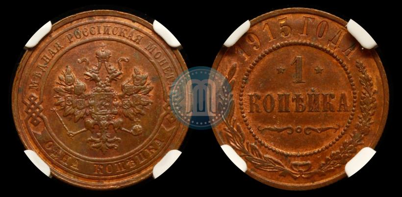 Picture 1 kopeck 1915 year  