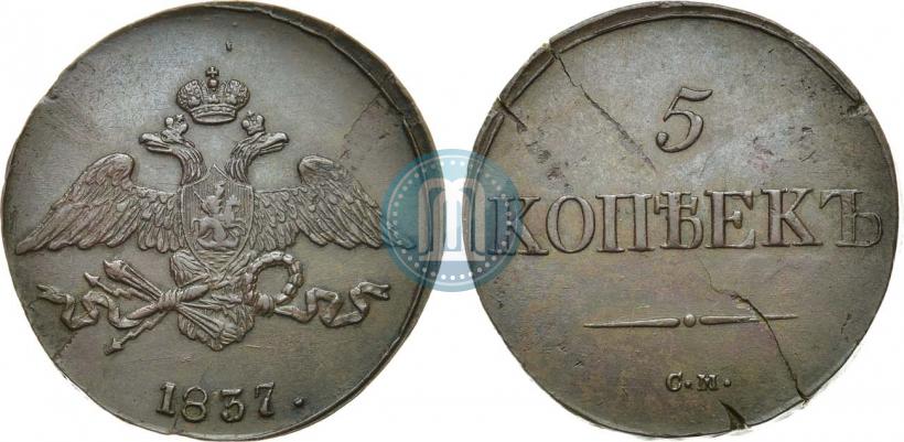 Picture 5 kopecks 1837 year СМ 