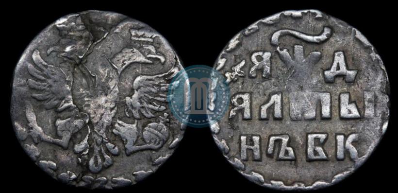 Фото Алтын 1704 года БК 