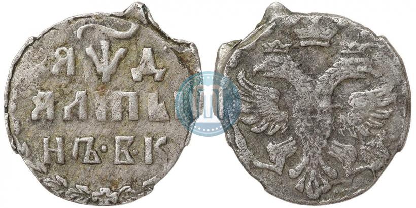 Picture Altyn 1704 year БК 