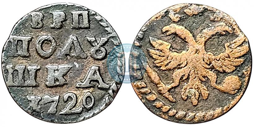 Фото Полушка 1720 года  