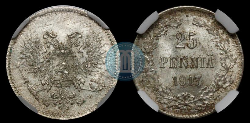Picture 25 pennia 1917 year S 