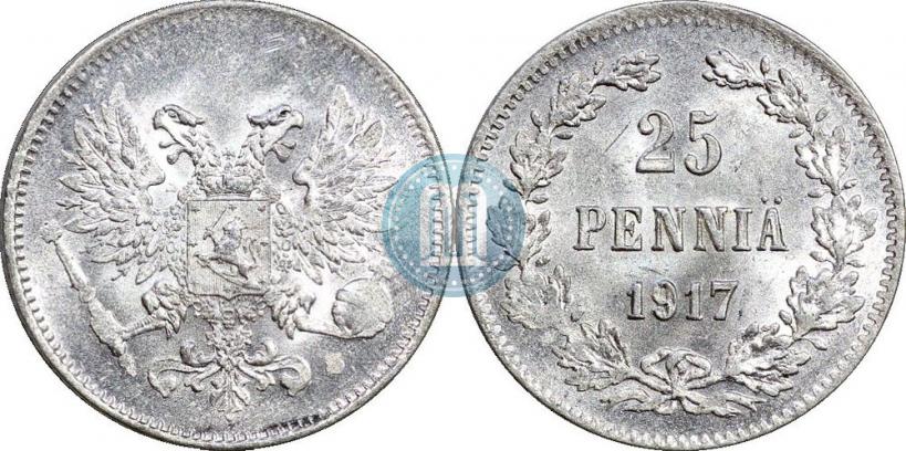 Picture 25 pennia 1917 year S 