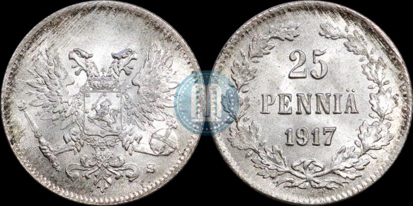 Picture 25 pennia 1917 year S 