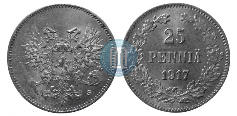 Picture 25 pennia 1917 year S 