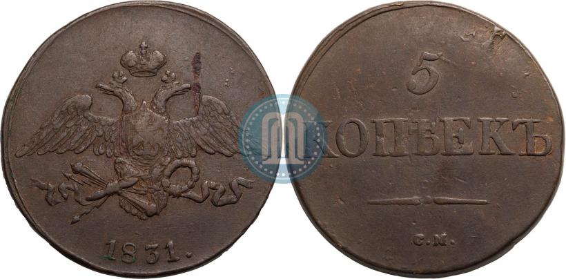 Picture 5 kopecks 1831 year СМ 