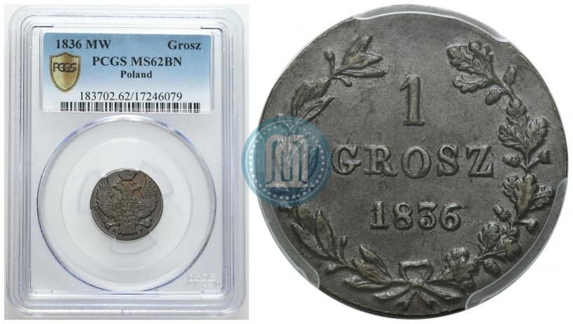 Фото 1 грош 1836 года MW 