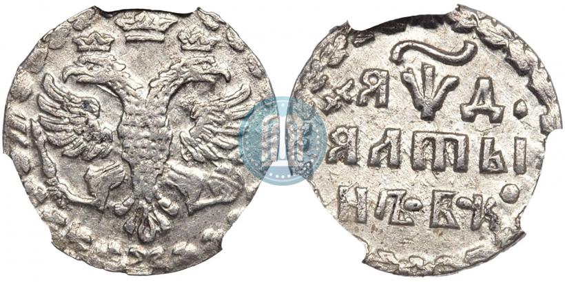 Фото Алтын 1704 года БК 