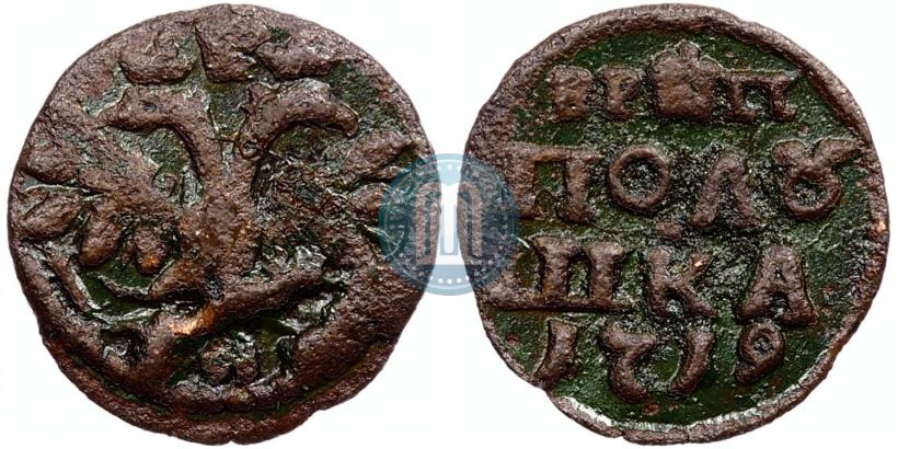 Picture Polushka 1719 year  