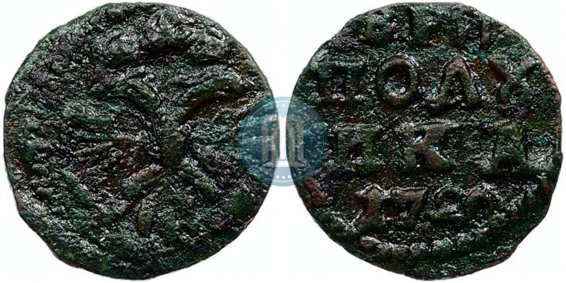 Фото Полушка 1720 года  