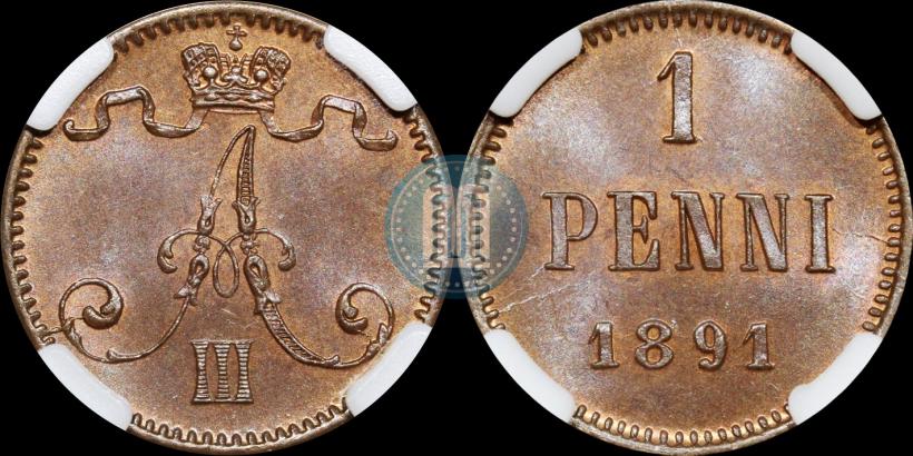 Фото 1 пенни 1891 года  