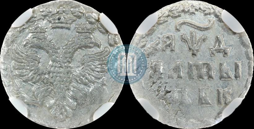 Picture Altyn 1704 year БК 