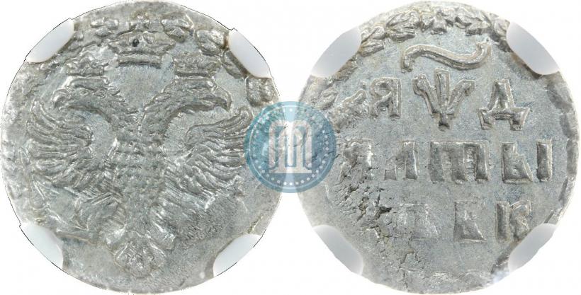 Picture Altyn 1704 year БК 