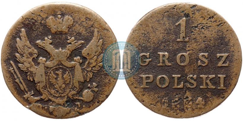 Фото 1 грош 1834 года IP 