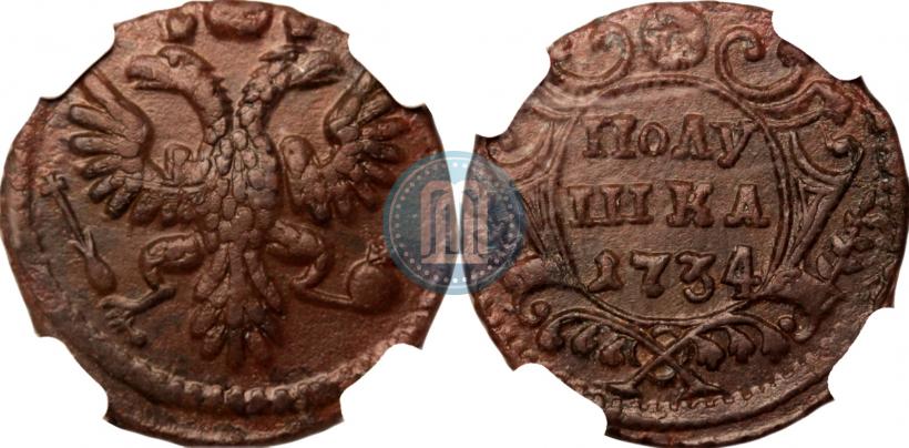 Фото Полушка 1734 года  