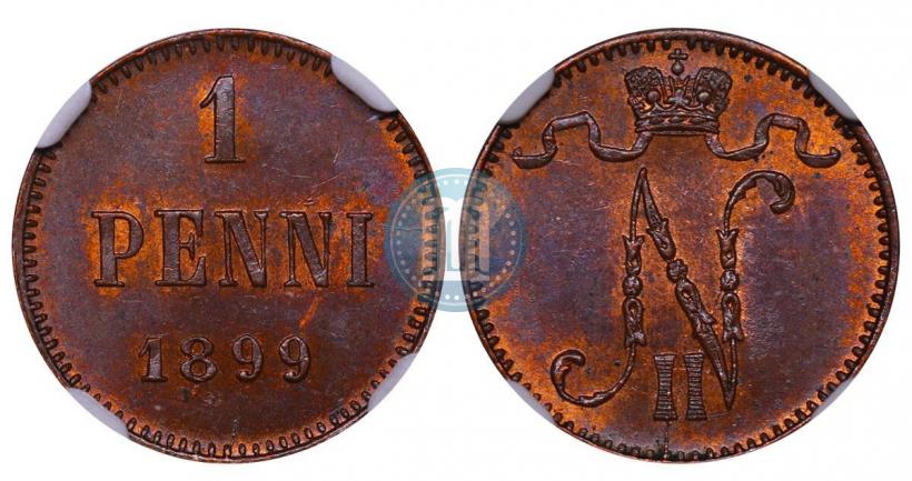 Фото 1 пенни 1899 года  