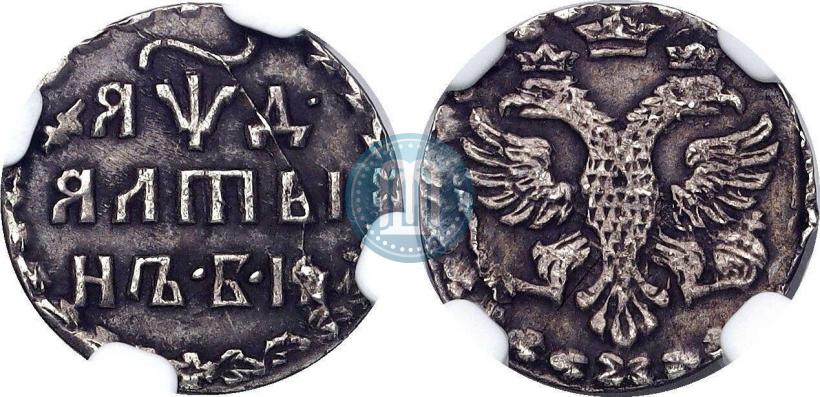 Фото Алтын 1704 года БК 