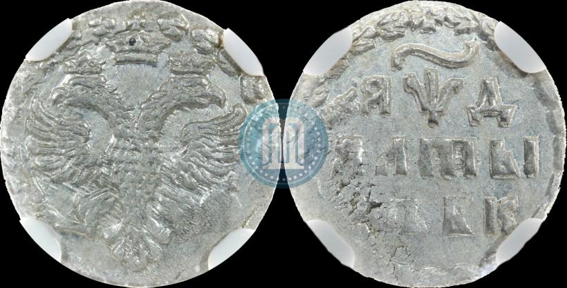 Picture Altyn 1704 year БК 