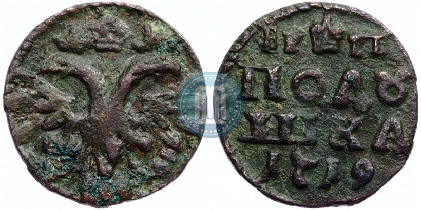 Фото Полушка 1719 года  