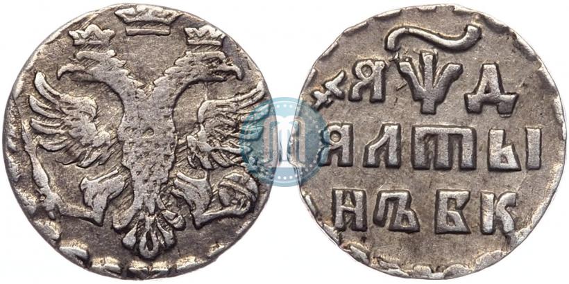 Фото Алтын 1704 года БК 