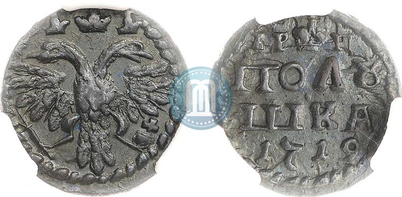 Picture Polushka 1719 year  
