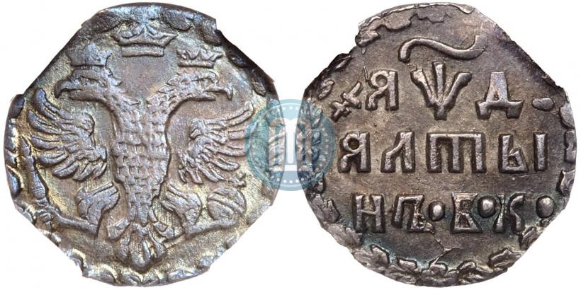 Фото Алтын 1704 года БК 