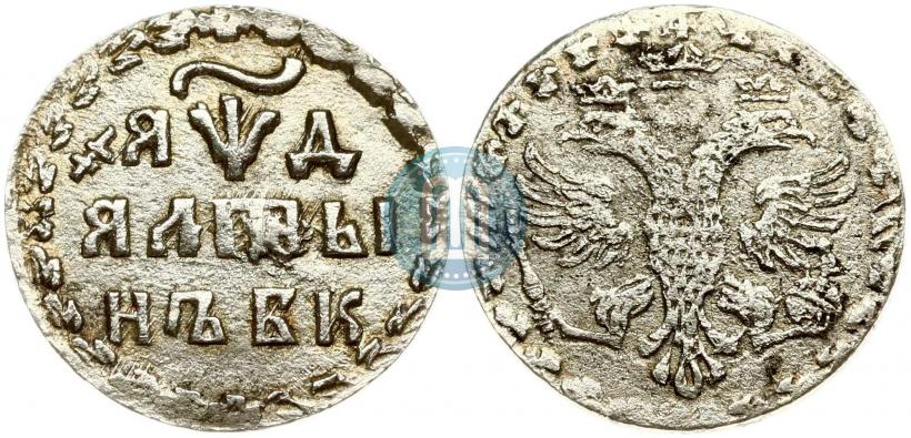 Фото Алтын 1704 года БК 