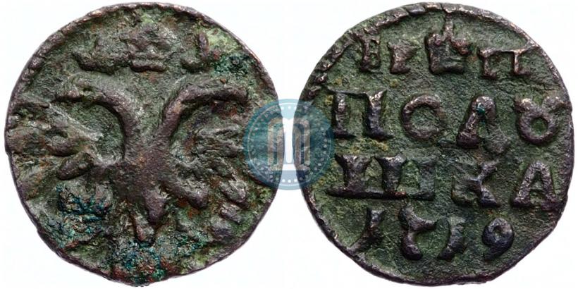 Picture Polushka 1719 year  