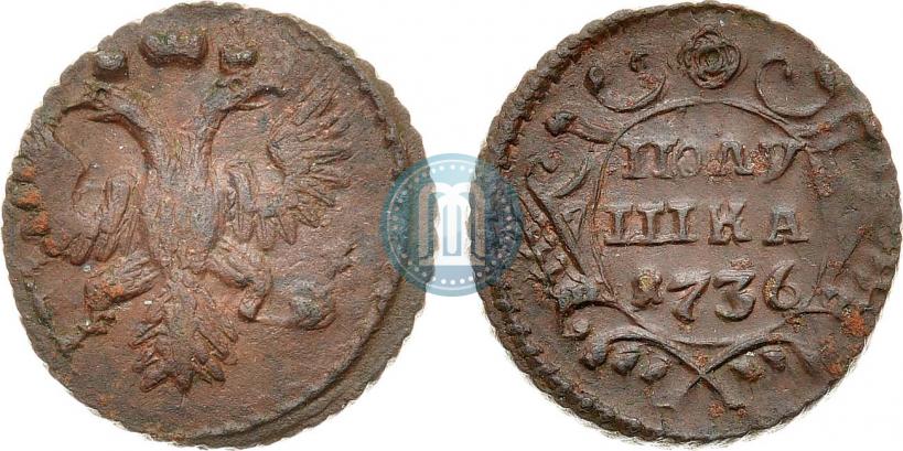 Фото Полушка 1736 года  