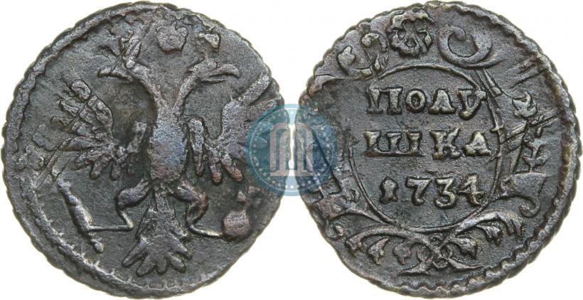 Фото Полушка 1734 года  