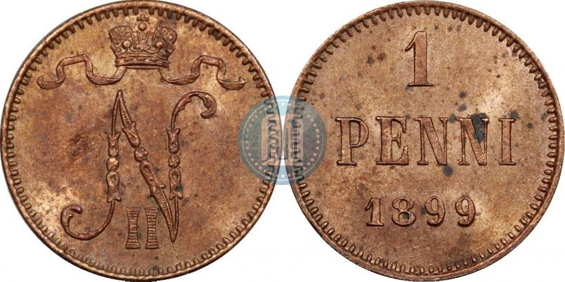 Фото 1 пенни 1899 года  