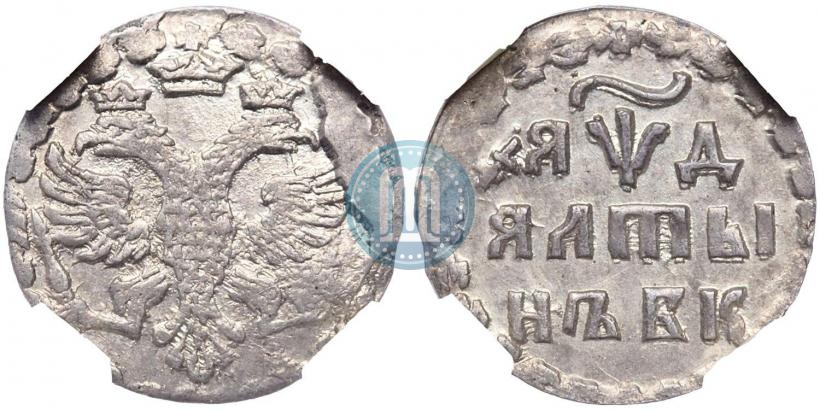 Фото Алтын 1704 года БК 